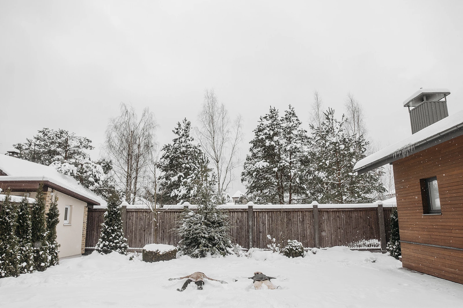 Cedar sauna cabin in a snowy Canadian backyard with evergreens, a fence and snow angels